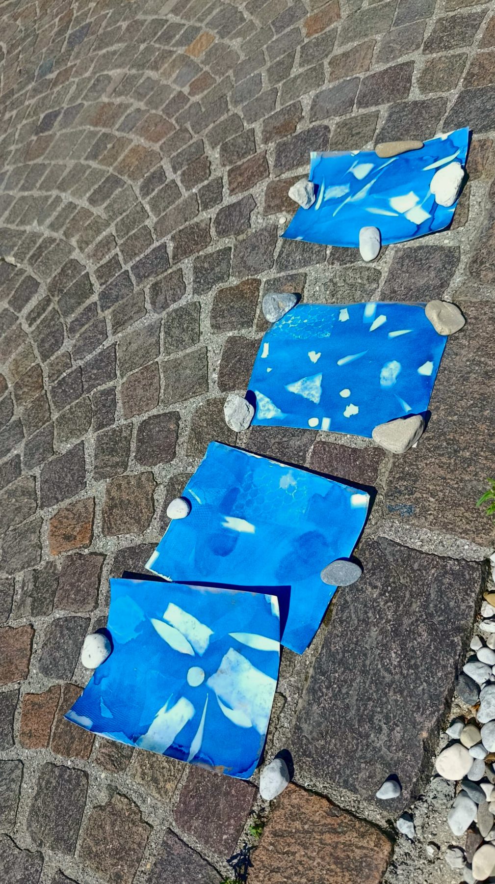 Laboratorio di cianotipia con bambini dell'infanzia
