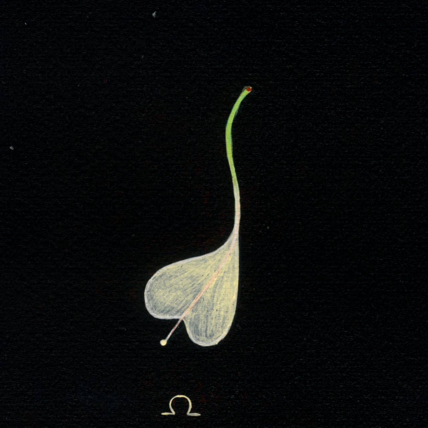 Illustrazione ad acrilico di botanica fantastica e impossibile
