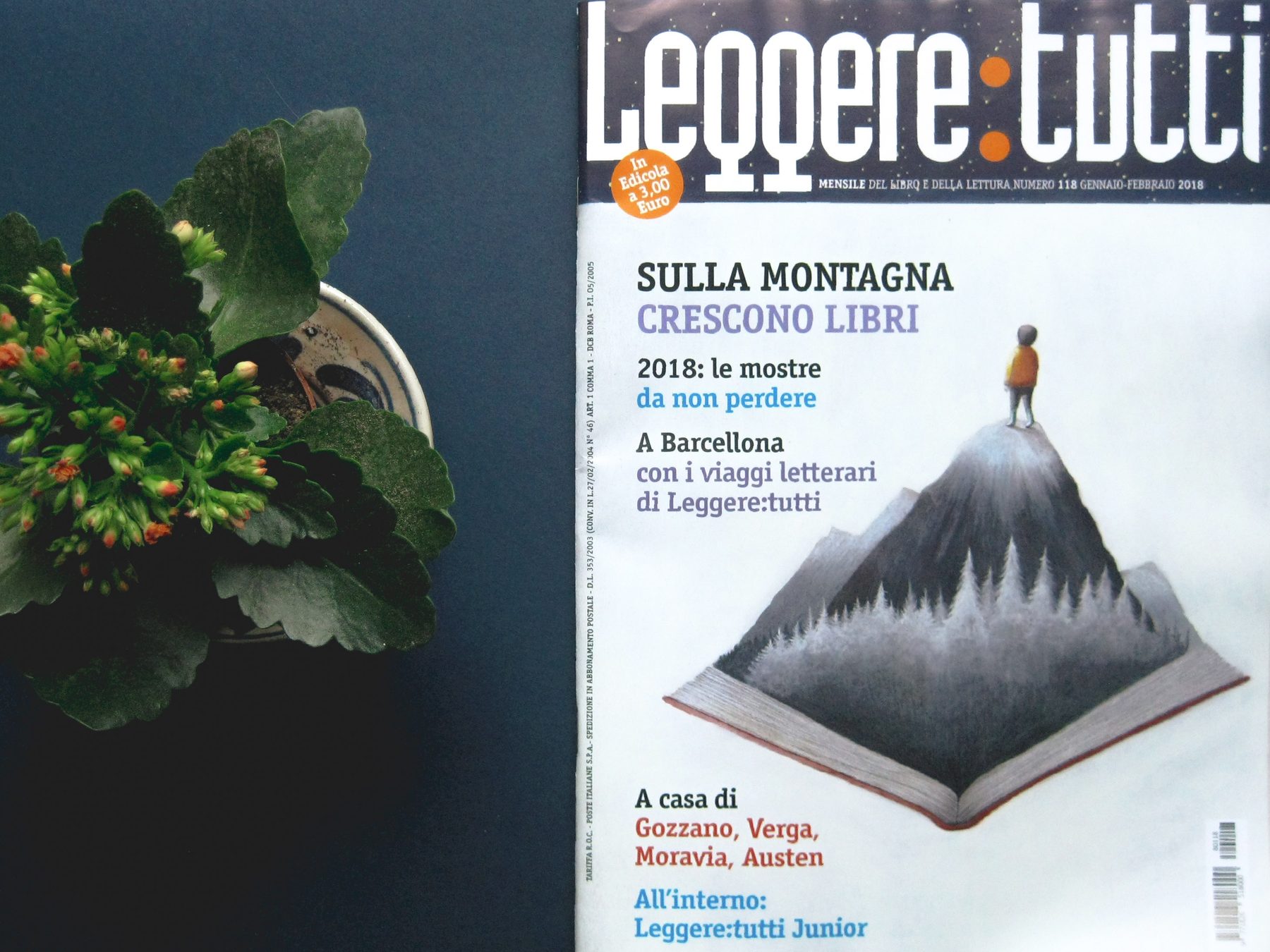 illustrazioni editoriali per la rivista Leggere:tutti