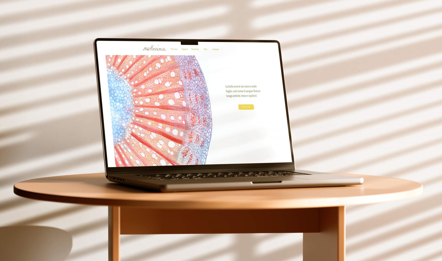 web design e illustrazioni per il sito dei vini di Martissima di Marta Venica