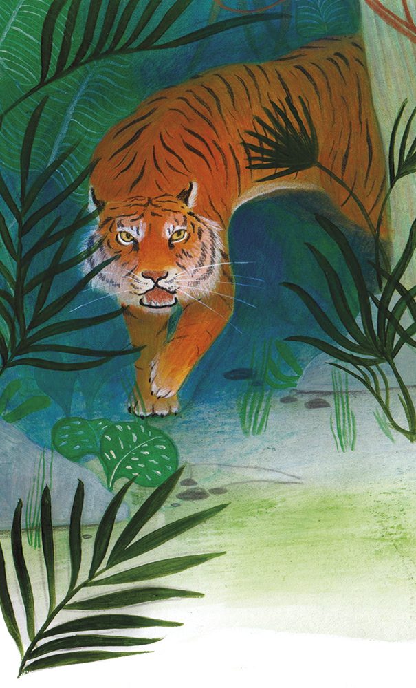 illustrazioni per il testo scolastico Vivavoce - Zanichelli Editore
