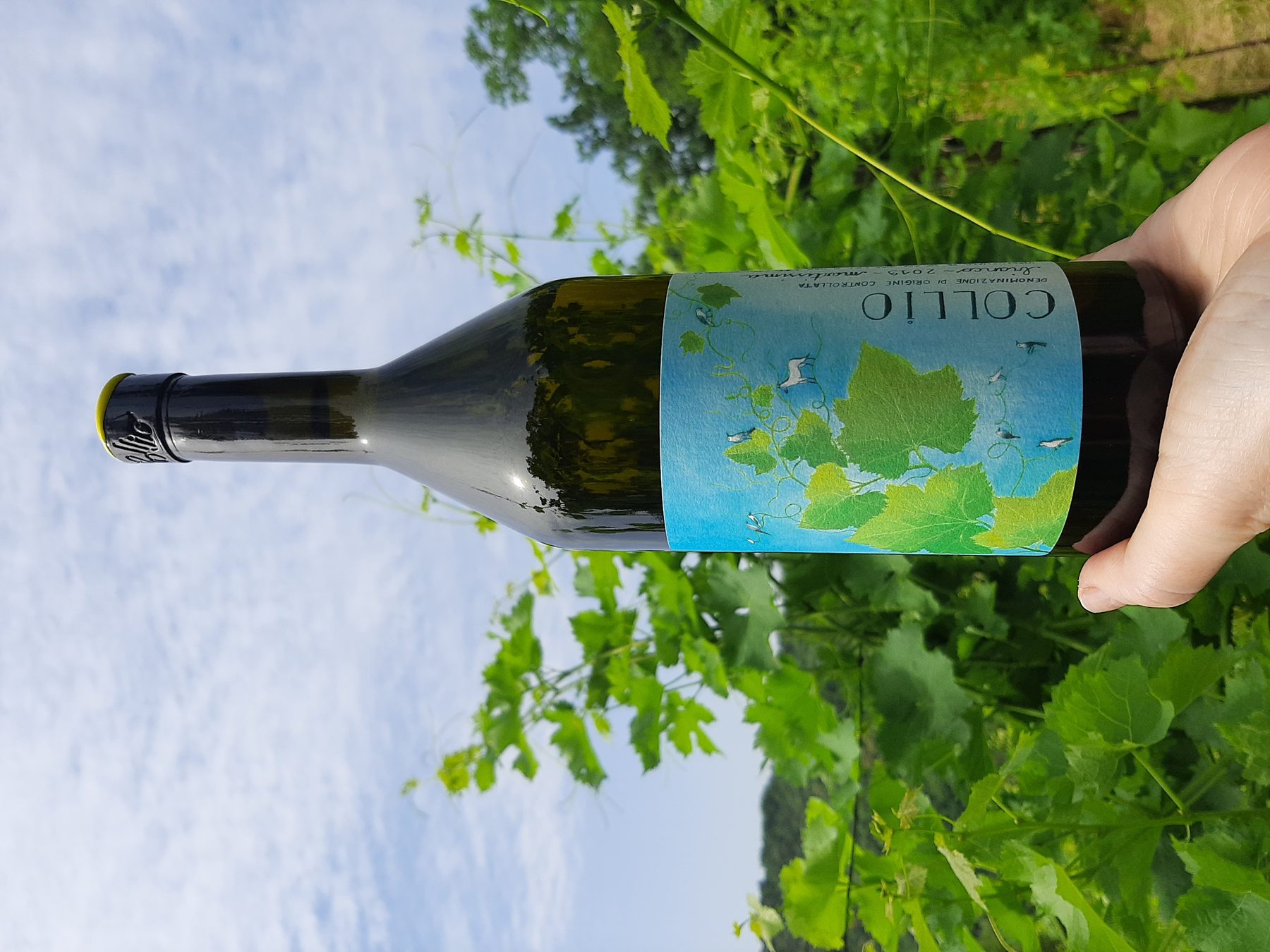 Bottiglia di vino Collio di Martissima tenuta in mano immersa nei vigneti, con etichetta illustrata raffigurante foglie di vite verdi su sfondo azzurro arricchito da dettagli botanici e piccoli animali