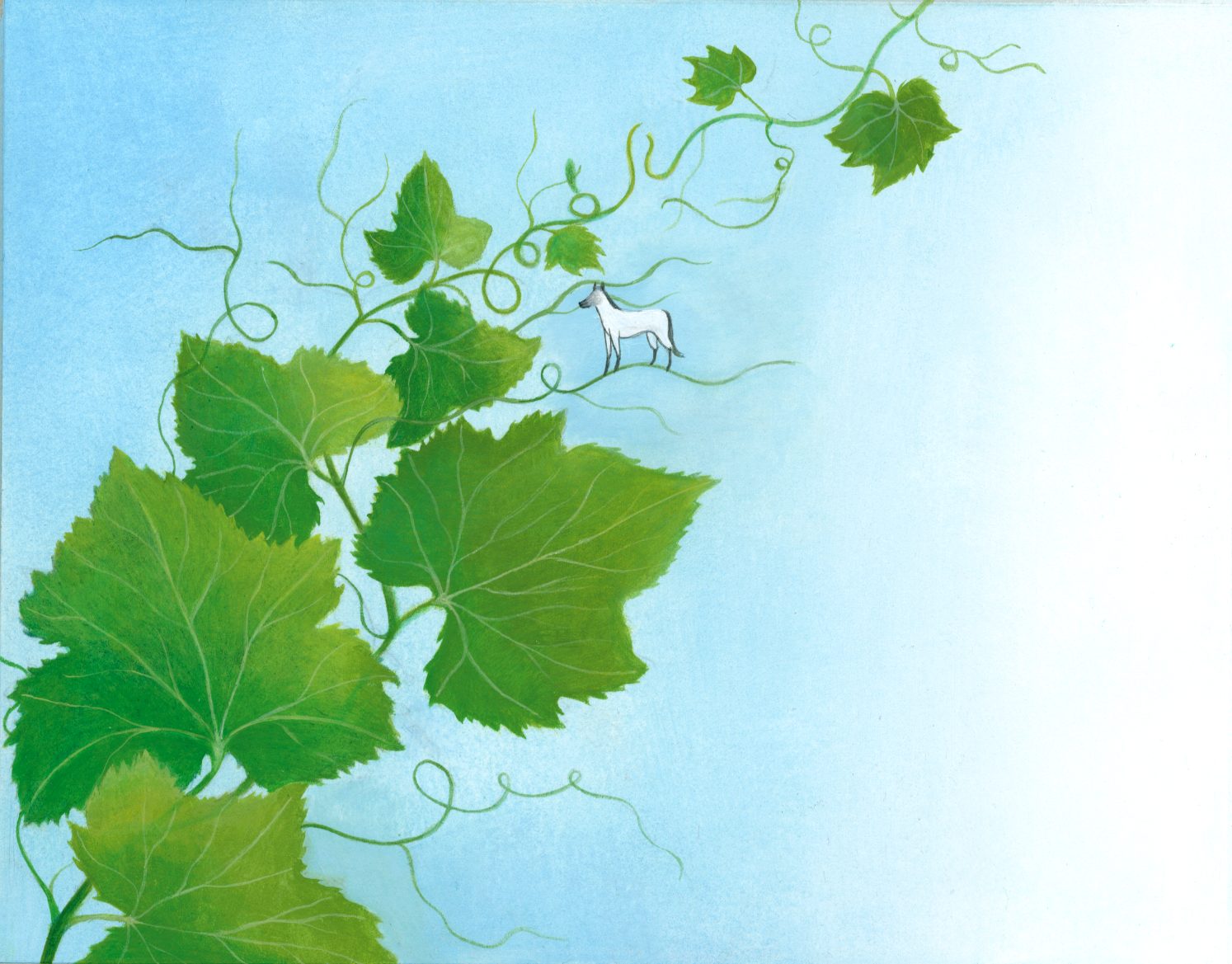 Collio bianco - Illustrazione di una vite con foglie verdi e viticci su sfondo blu-bianco sfumato con un piccolo cane bianco appollaiato.